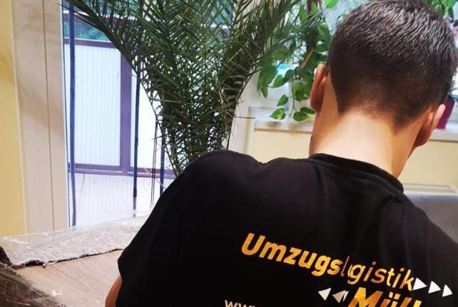 Laborumzug Kreba-Neudorf stressfrei umziehen 